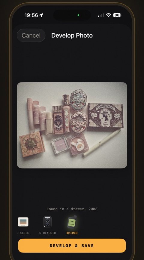 Developing an old photo from the camera roll with a film stock